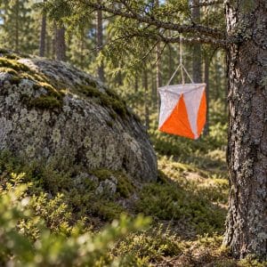 Control flag 15x15cm in the forest