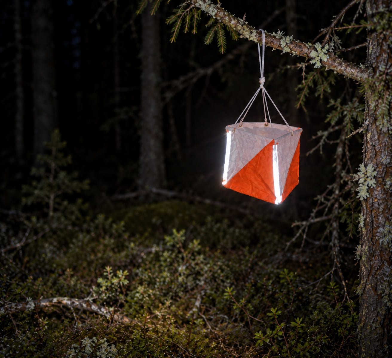 A 15x15 cm orientation screen with reflective material in the forest at night, illuminated by a headlamp